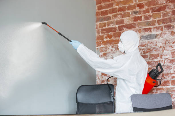 Best Emergency Mold Remediation  in Alba, NY