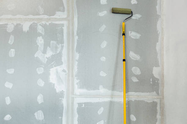 Best Mold Remediation for Vacation Homes  in Alba, NY