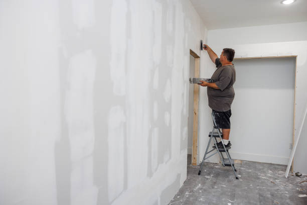 Mold Remediation for Vacation Homes in Albany, NY