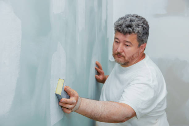 Best Mold Documentation for Insurance Claims  in Alba, NY