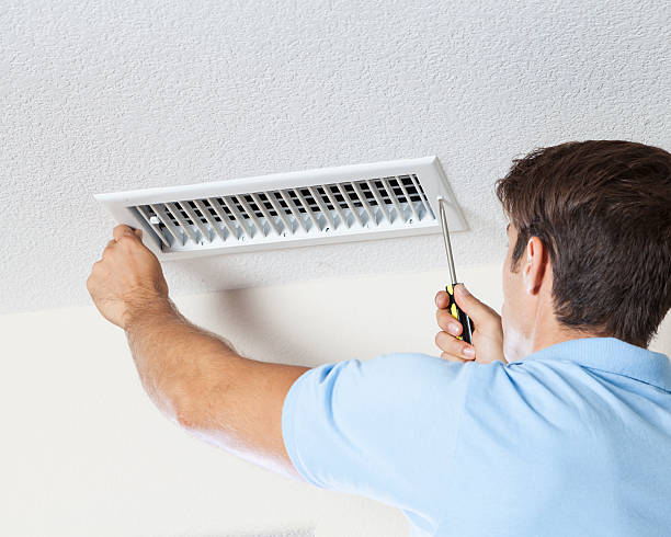 Best Mold Removal for HVAC Installations  in Alba, NY